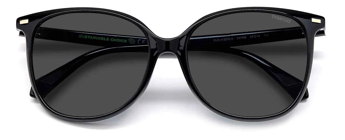 Polaroid Core PLD4125 Sunglasses - view 9